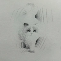 핸지 프로필